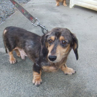 ありがとうございました。