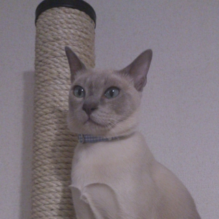 有難うございました