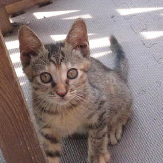 多くのお問い合わせありがとうございました。