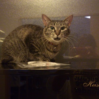 大事にしてくださる方