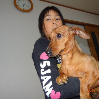 ステキな里親様に引き取ってもらう事になりました。ありがとうございました。