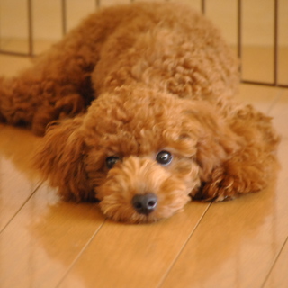 沢山のお問い合わせありがとうございました