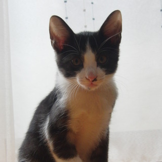 ありがとうございました。幸せになってね。