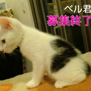 一カ月半　ハート模様の男の子