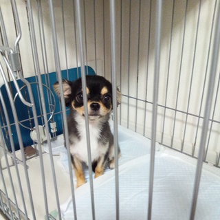 ご検討ありがとうございました。