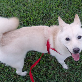 性格もいい美人さん