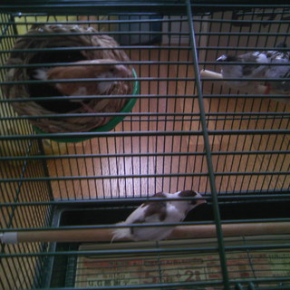 ありがとうございました。