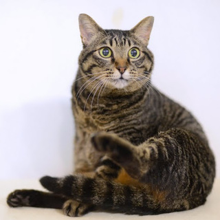 保護は継続しております