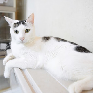 保護は継続しております