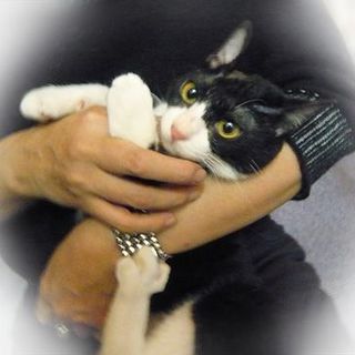 保護は継続しております