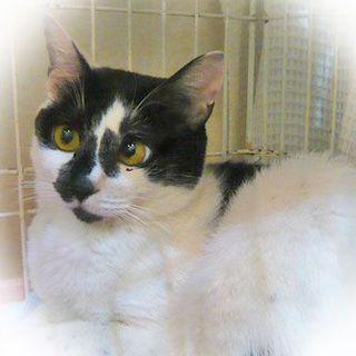 保護は継続しております