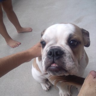 必ず大切に育ててくださる方