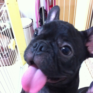 ありがとうございました