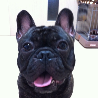 沢山のご応募ありがとうございました