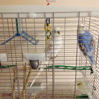 応募多数のため一旦締め切らせていただきます。ありがとうございました。