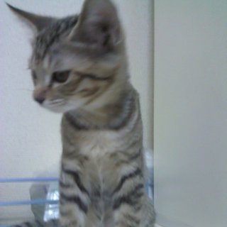 元気いっぱいな女の子めーちゃん♪