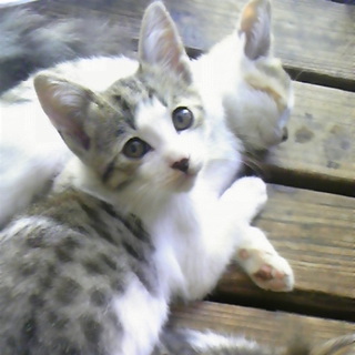 兄弟でもらっていただきました！