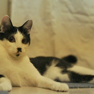 保護は継続しております