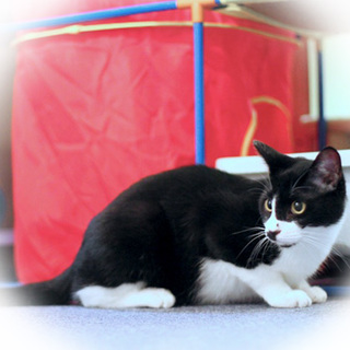 保護は継続しております