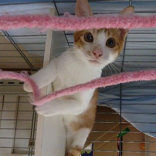 おっとりさん５カ月