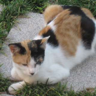 とっても優しくステキな家族が出来ました！