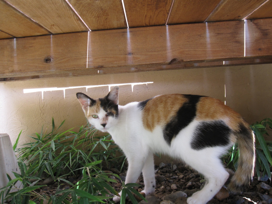 とっても優しくステキな家族が出来ました！ サムネイル5