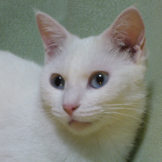 山形近県の方お願いします