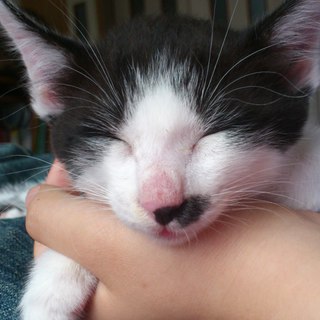 ありがとうございました！