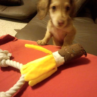 甘えん坊さん♪