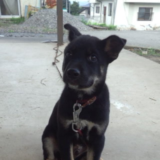 元気になったぞ！