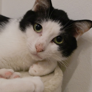 よろしくお願いします