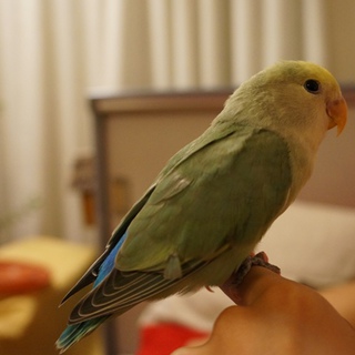 ご連絡頂いた方、ありがとうございました。