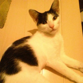 里親さん決まりました！