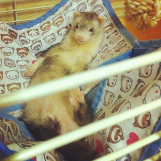 多数のお問合せありがとうございました。