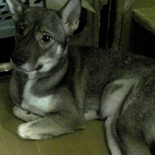 とても良い方とご縁がありました！ありがとうございます！(☆エスちゃん☆)