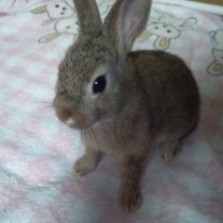 新しいご家族さまが決まりました♪