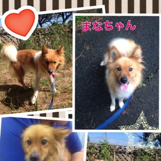 置き去りの愛（まな）ちゃん