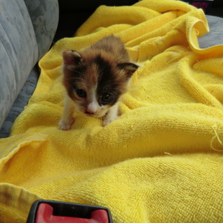 たくさんのご応募ありがとうございました！！