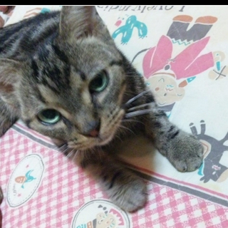 【ありがとうございました!】人が大好きな女の子