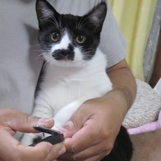 募集停止致します。