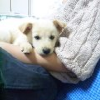 無事に見つかりました！ありがとうございました！