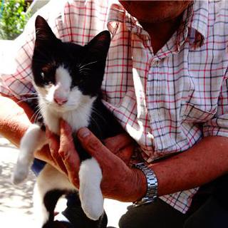 犬っぽい？性格の白黒ちゃん