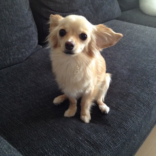 たくさんのご応募ありがとうございます。