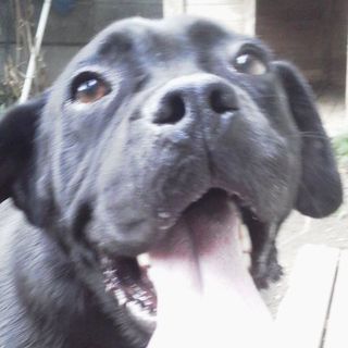 ありがとうございました。