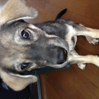 かわいいＭＩＸ女の仔　３．５ヶ月