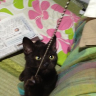 お話中につき一時募集停止です。