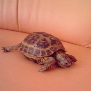 幸せになります！みなさまありがとう