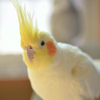 たくさんのお問い合わせ、有難うございました