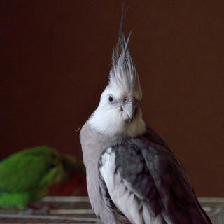 たくさんのお問い合わせ、有難うございました