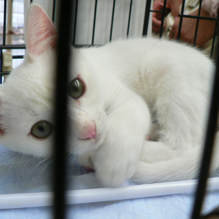 ひょうきんなしぐさで笑わせてくれます